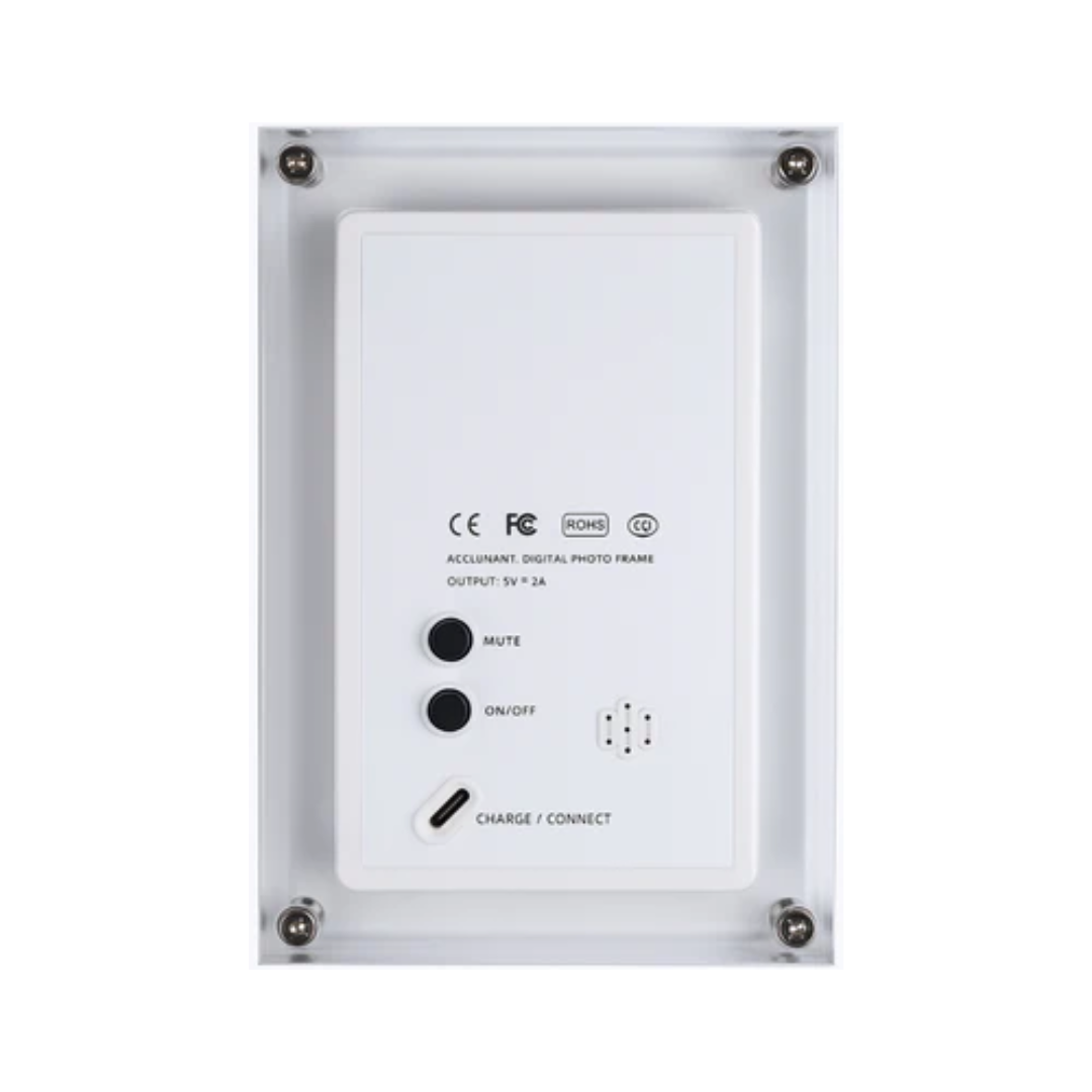 Marco Digital de Latido Eterno